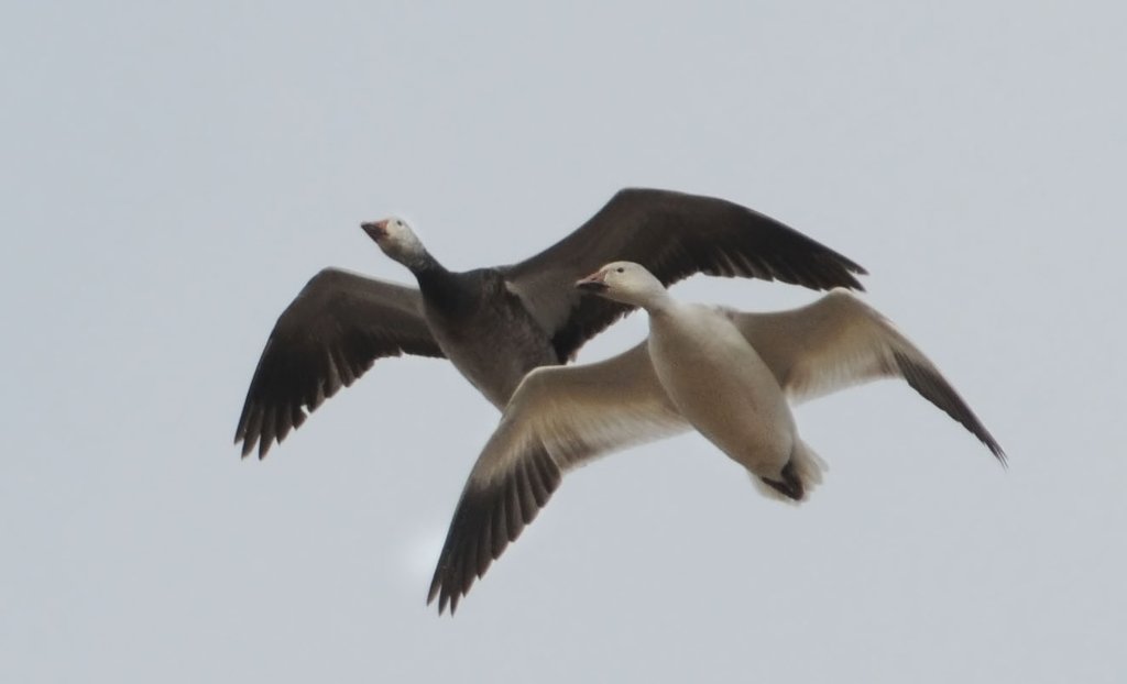 DSC_5883.jpg