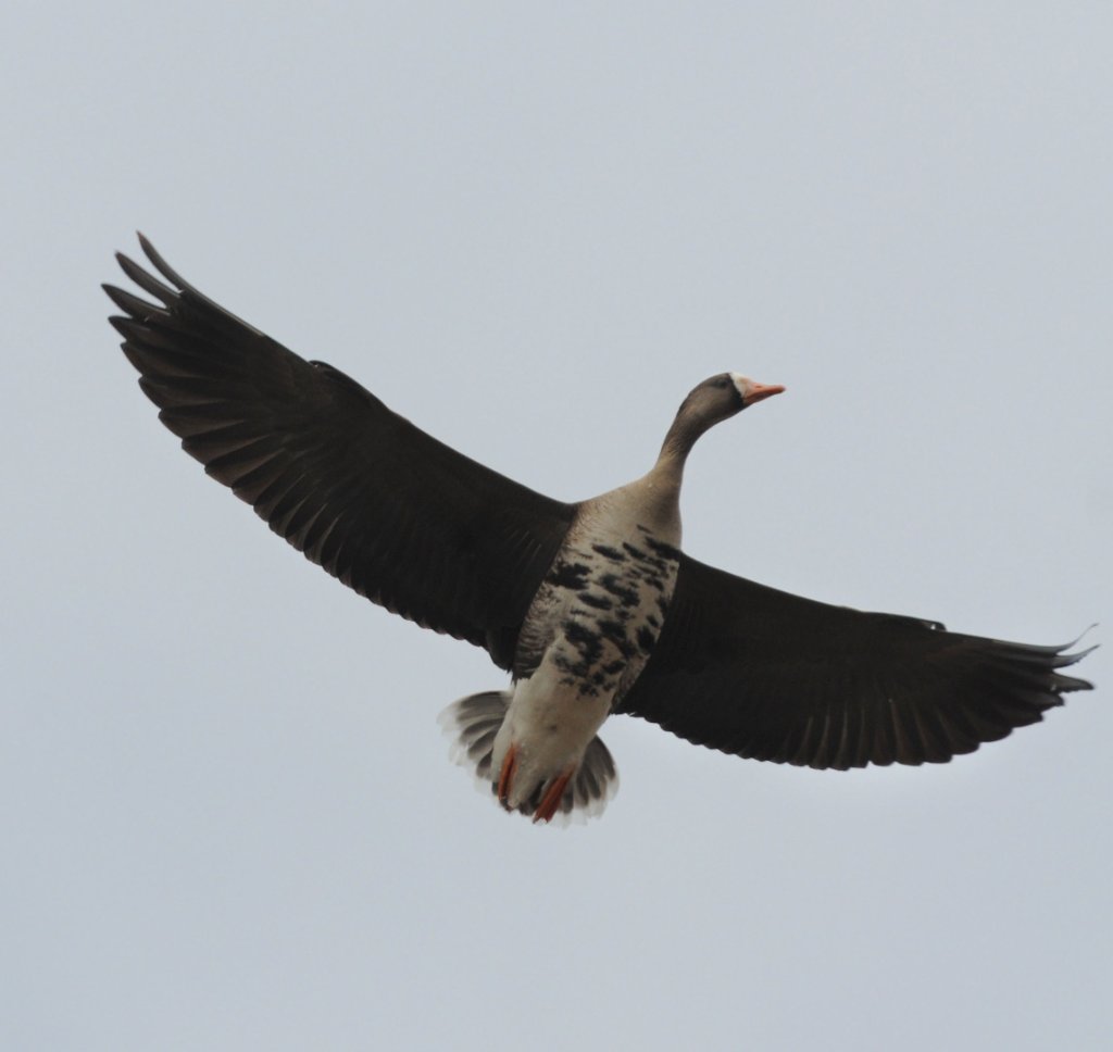 DSC_5942.jpg